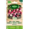 Radijs National 3 BIO -Goedkope Tuin Adem Winkel 1646058471 1 600