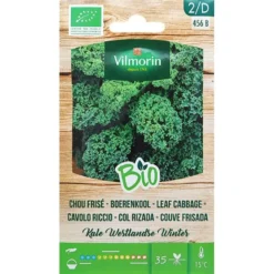 Boerenkool Kale Westlandse Winter BIO