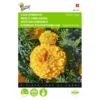 Afrikaan Golden Age - Tagetes Erecta 1 Afrikaan Golden Age - Tagetes Erecta -Goedkope Tuin Adem Winkel afrikaan golden age tagetes erecta 1646840331 435 600