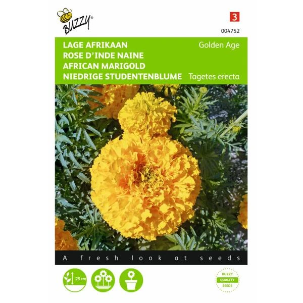 Afrikaan Golden Age - Tagetes Erecta