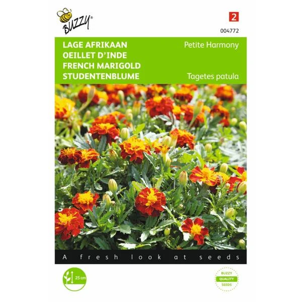 Afrikaan Petite Harmony - Tagetes Patula Nana 3 Afrikaan Petite Harmony - Tagetes Patula Nana