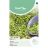 Andijvie Gele Volhart - Cichorium Endivia -Goedkope Tuin Adem Winkel andijvie gele volhart cichorium endivia 1646840349 812 600