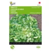 Andijvie Nummer Vijf - Cichorium Endivia 1 Andijvie Nummer Vijf - Cichorium Endivia -Goedkope Tuin Adem Winkel andijvie nummer vijf cichorium endivia 1646840314 71 600