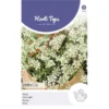 Anijs - Pimpinella Anisum -Goedkope Tuin Adem Winkel anijs pimpinella anisum 1646840311 7 600