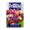 Astro Nano Merveille Mix - Aster Mengsel 2 Astro Nano Merveille Mix - Aster Mengsel -Goedkope Tuin Adem Winkel astro nano merveille mix aster mengsel 1646840374 1387 600