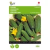 Augurken Kleine Groene Scherpe - Cucumis Sativus -Goedkope Tuin Adem Winkel augurken kleine groene scherpe cucumis sativus 1646840315 79 600