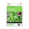 Basilicum Genovese - 4 Zaadpads