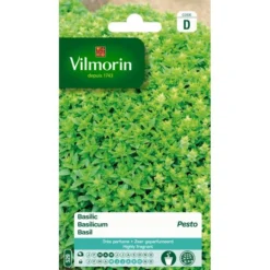 Basilicum Pesto - Ocimum Basilicum