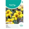 Bidens Golden Eye - Bidens Humilis -Goedkope Tuin Adem Winkel bidens golden eye bidens humilis 1646840359 1034 600