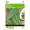 Bieslook Grove - Allium Fistulosum -Goedkope Tuin Adem Winkel bieslook grove allium fistulosum 1646840312 19 600