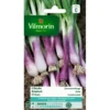 Bieslook Rode - Allium Fistulosum -Goedkope Tuin Adem Winkel bieslook rode allium fistulosum 1646839529 121 600