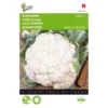 Bloemkool Alpha - Brassica Oleracea -Goedkope Tuin Adem Winkel bloemkool alpha brassica oleracea 1646840315 93 600