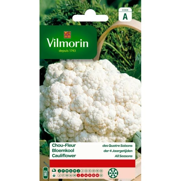 Bloemkool Wonder 4 Jaargetijden 3 Bloemkool Wonder 4 Jaargetijden