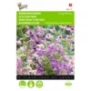 Boerenorchidee Angel Wings - Schizanthus Sinuata Wisetonensis -Goedkope Tuin Adem Winkel boerenorchidee angel wings schizanthus sinuata wisetonensis 1646840330 431 600