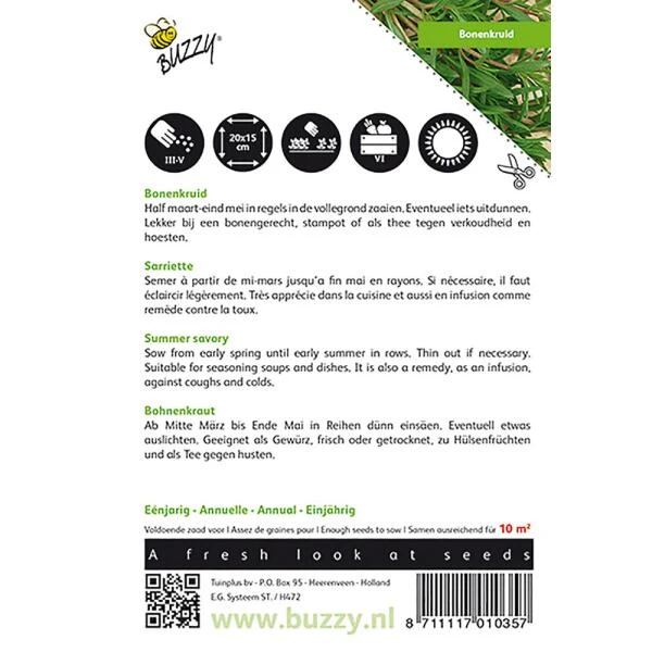 Bonenkruid Eenjarig - Satureja Hortensis 4 Bonenkruid Eenjarig - Satureja Hortensis - Afbeelding 2