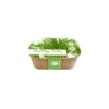 Box Healthy Herb - Bieslook 2 Box Healthy Herb - Bieslook -Goedkope Tuin Adem Winkel box healthy herb bieslook 1640857122 1 600