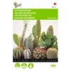 Catussen Zadenmix -Goedkope Tuin Adem Winkel catussen zadenmix 1646840388 1598 600