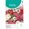 Chinese Anjer Mix - Dianthus Chinensis 1 Chinese Anjer Mix - Dianthus Chinensis -Goedkope Tuin Adem Winkel chinese anjer mix dianthus chinensis 1646840360 1066 600