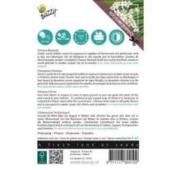 Chinese Bieslook - Allium Tuberosum -Goedkope Tuin Adem Winkel chinese bieslook allium tuberosum 1646840339 612 600