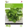 Citroenmelisse - Melissa Officinalis -Goedkope Tuin Adem Winkel citroenmelisse melissa officinalis 1646840312 25 600
