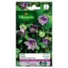 Cobea Klimmende - Cobea Scandens 1 Cobea Klimmende - Cobea Scandens -Goedkope Tuin Adem Winkel cobea klimmende cobea scandens 1646839547 242 600