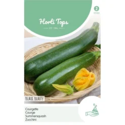 Courgette Black Beauty - Cucurbita Pepo