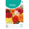 Dahlia Unwins Hybrid -Goedkope Tuin Adem Winkel dahlia unwins hybrid 1646840361 1076 600