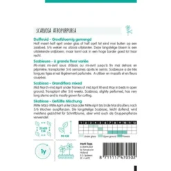 Duifkruid - Scabiosa Atropurpurea -Goedkope Tuin Adem Winkel duifkruid scabiosa atropurpurea 1646840364 1147 600