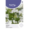 Duizendblad - Achillea Millefolium -Goedkope Tuin Adem Winkel duizendblad achillea millefolium 1646840346 738 600