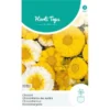 Gekroonde Ganzenbloem - Chrysanthemum Coronarium -Goedkope Tuin Adem Winkel gekroonde ganzenbloem chrysanthemum coronarium 1646840360 1062 600