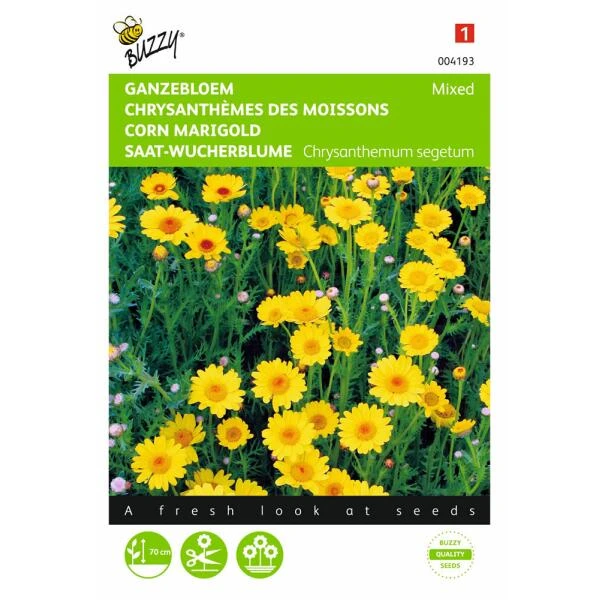 Gele Ganzebloem - Chrysanthemum Segetum 3 Gele Ganzebloem - Chrysanthemum Segetum