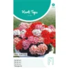 Geranium Magic Beauty - Pelargonium Zonale -Goedkope Tuin Adem Winkel geranium magic beauty pelargonium zonale 1646840363 1128 600