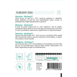 Geranium Mustang - Pelargonium Zonale -Goedkope Tuin Adem Winkel geranium mustang pelargonium zonale 1646840363 1115 600