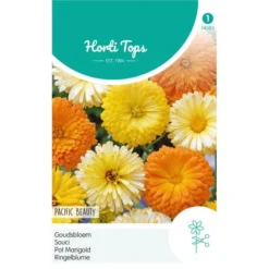 Goudsbloem Pacific Beauty - Calendula Officinalis
