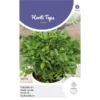 Griekse Potbasilicum - Ocimum Basilicum Bascuro -Goedkope Tuin Adem Winkel griekse potbasilicum ocimum basilicum bascuro 1646840346 740 600