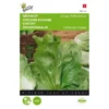 Groenlof Vroege Zelfsluitende - Cichorium Intybus -Goedkope Tuin Adem Winkel groenlof vroege zelfsluitende cichorium intybus 1646840315 85 600