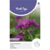 Groot Kaasjeskruid - Malva Sylvestris -Goedkope Tuin Adem Winkel groot kaasjeskruid malva sylvestris 1646840346 744 600