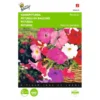 Hangpetunia - Petunia Pendula -Goedkope Tuin Adem Winkel hangpetunia petunia pendula 1646840330 423 600