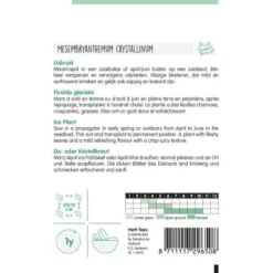 Ijskruid - Mesembryanthemum Crystallinum -Goedkope Tuin Adem Winkel ijskruid mesembryanthemum crystallinum 1646840357 991 600