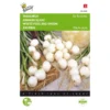 Inmaakuien Barletta - Allium Cepa -Goedkope Tuin Adem Winkel inmaakuien barletta allium cepa 1646840322 253 600