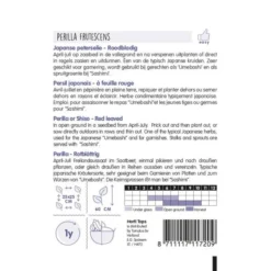 Japanse Peterselie - Perilla Crispa -Goedkope Tuin Adem Winkel japanse peterselie perilla crispa 1646840347 759 600