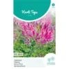 Kattensnor Rose Queen - Cleome Spinosa HT -Goedkope Tuin Adem Winkel kattensnor rose queen cleome spinosa ht 1646840358 1012 600