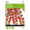 Kerstomaat Supersweet 100 F1 - Lycopersicon Esculentum -Goedkope Tuin Adem Winkel kerstomaat supersweet 100 f1 lycopersicon esculentum 1646840321 233 600