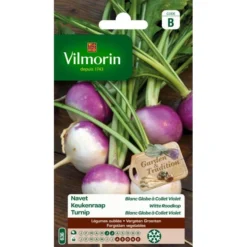 Keukenraap Witte Roodkop