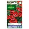 Klaproos Rode Enkele - Papaver Rhoeas -Goedkope Tuin Adem Winkel klaproos rode enkele papaver rhoeas 1646839544 229 600