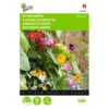 Klimplantenmengsel (diverse Soorten) 2 Klimplantenmengsel (diverse Soorten) -Goedkope Tuin Adem Winkel klimplantenmengsel diverse soorten 1646840333 479 600