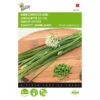 Knoflook-Bieslook Chinese -Goedkope Tuin Adem Winkel knoflookbieslook chinese 1646840312 23 600
