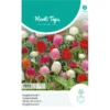 Kogelamarant - Gomphrena Globosa -Goedkope Tuin Adem Winkel kogelamarant gomphrena globosa 1646840362 1094 600