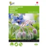 Komkommerkruid - Borago Officinalis 2 Komkommerkruid - Borago Officinalis -Goedkope Tuin Adem Winkel komkommerkruid borago officinalis 1646840313 35 600