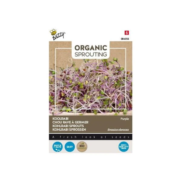 Koolrabi BIO Spruitgroente 3 Koolrabi BIO Spruitgroente